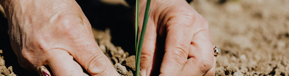 Agronomia e Agronegócio